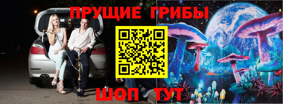 Тольятти  Галлюциногенные грибы MAGIC MUSHROOMS  где купить наркоту  Вход с VPN 